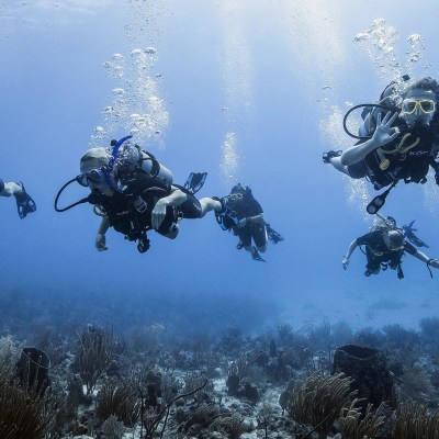 7 people scuba diving