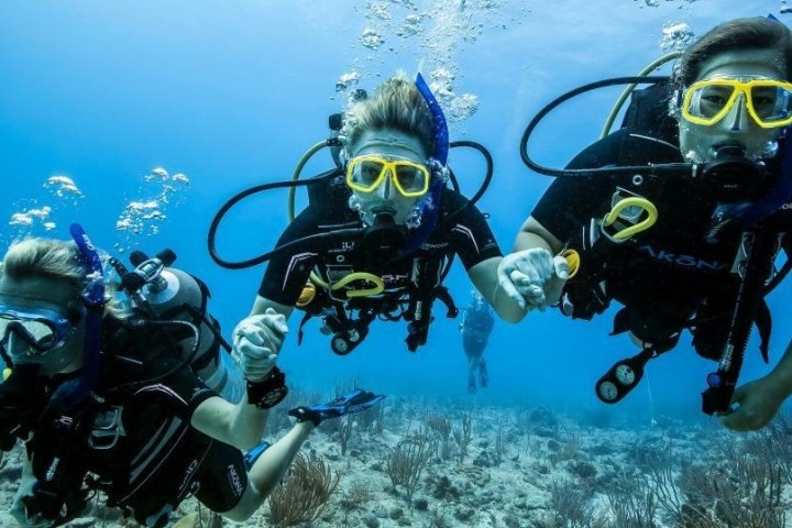 3 people holding hands scuba diving