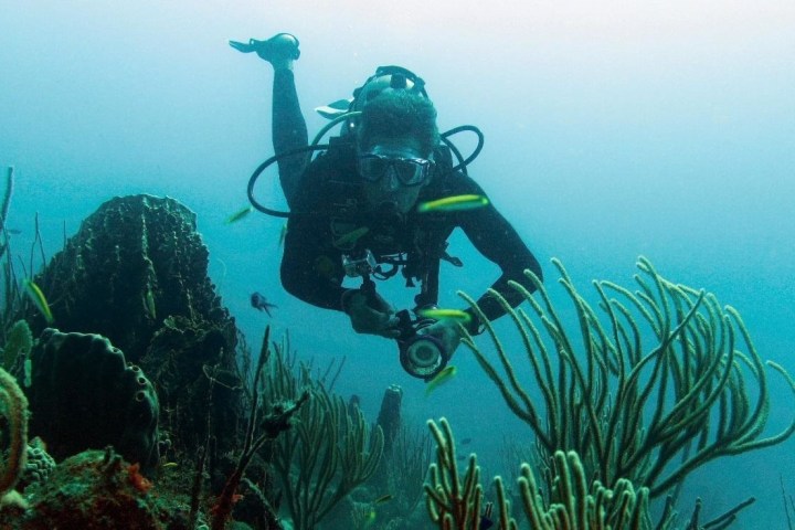 scuba diver with light in hand