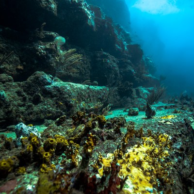 Underwater rock wall