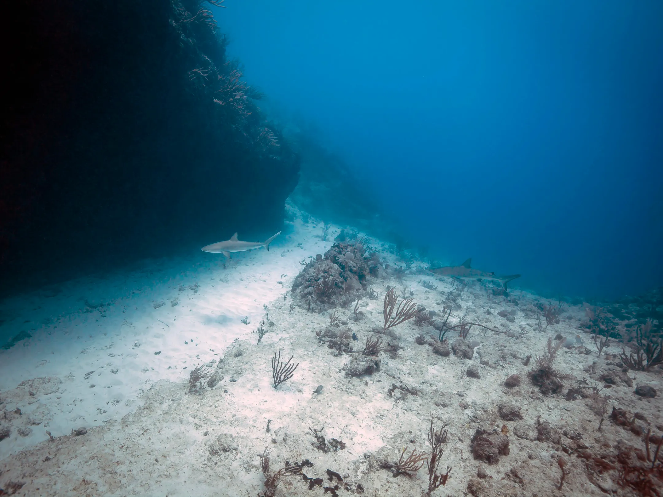 water next to the ocean