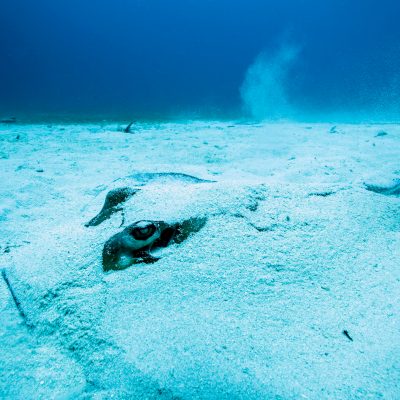 a man riding a wave on top of a body of water