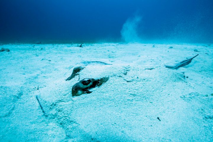 a man riding a wave on top of a body of water