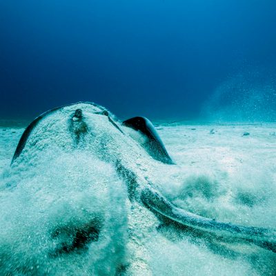 a man riding a wave on top of a body of water