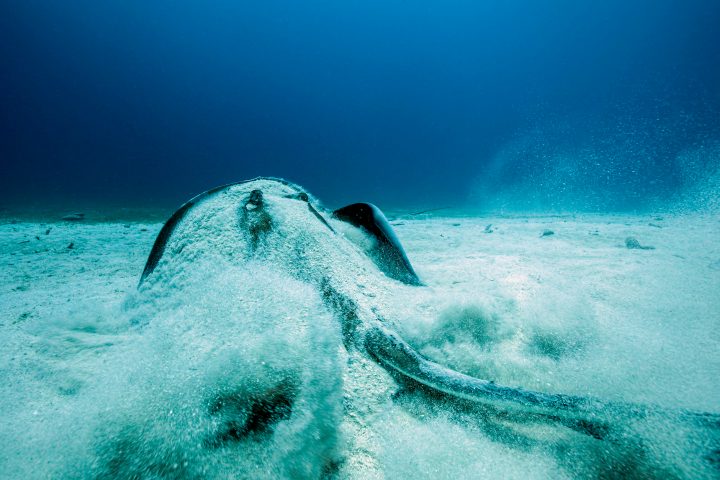 a man riding a wave on top of a body of water