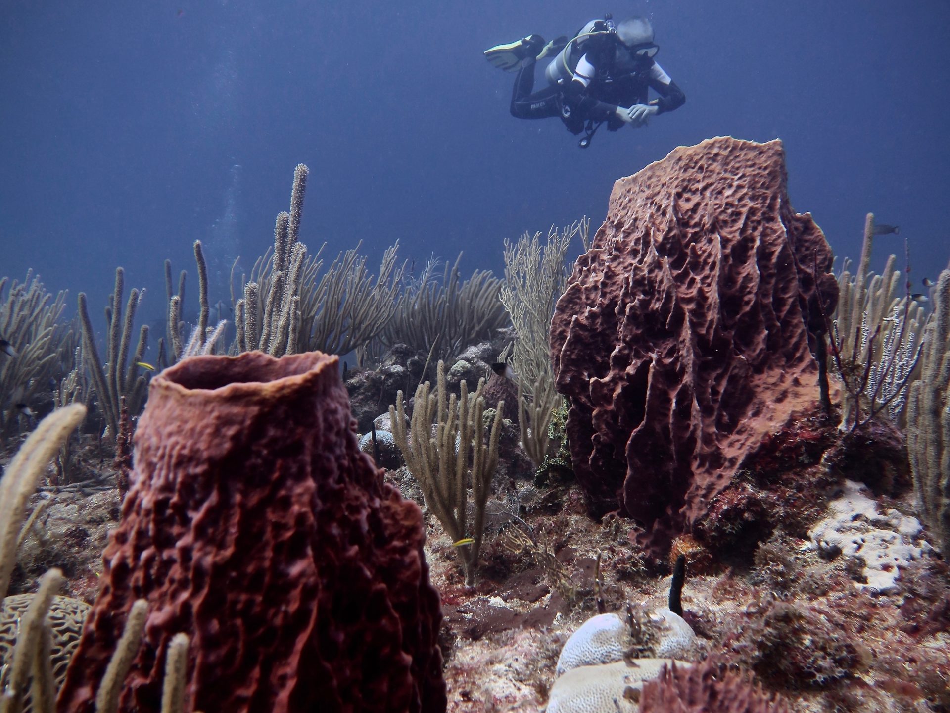 a man flying through the air on a rock