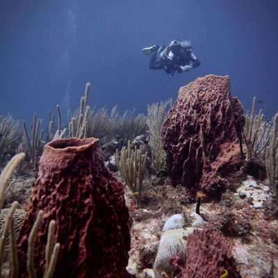a man flying through the air on a rock