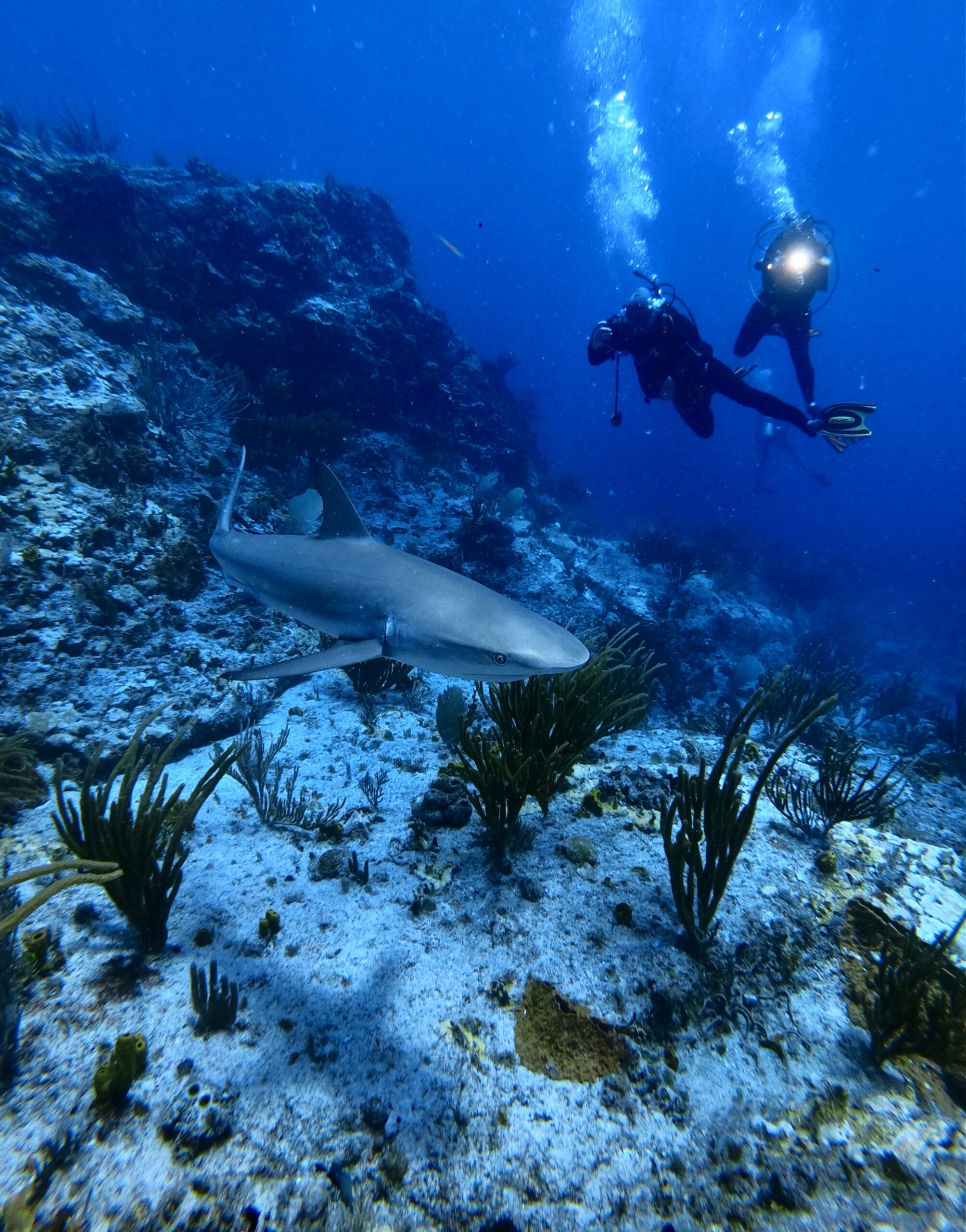 a man jumping underwater