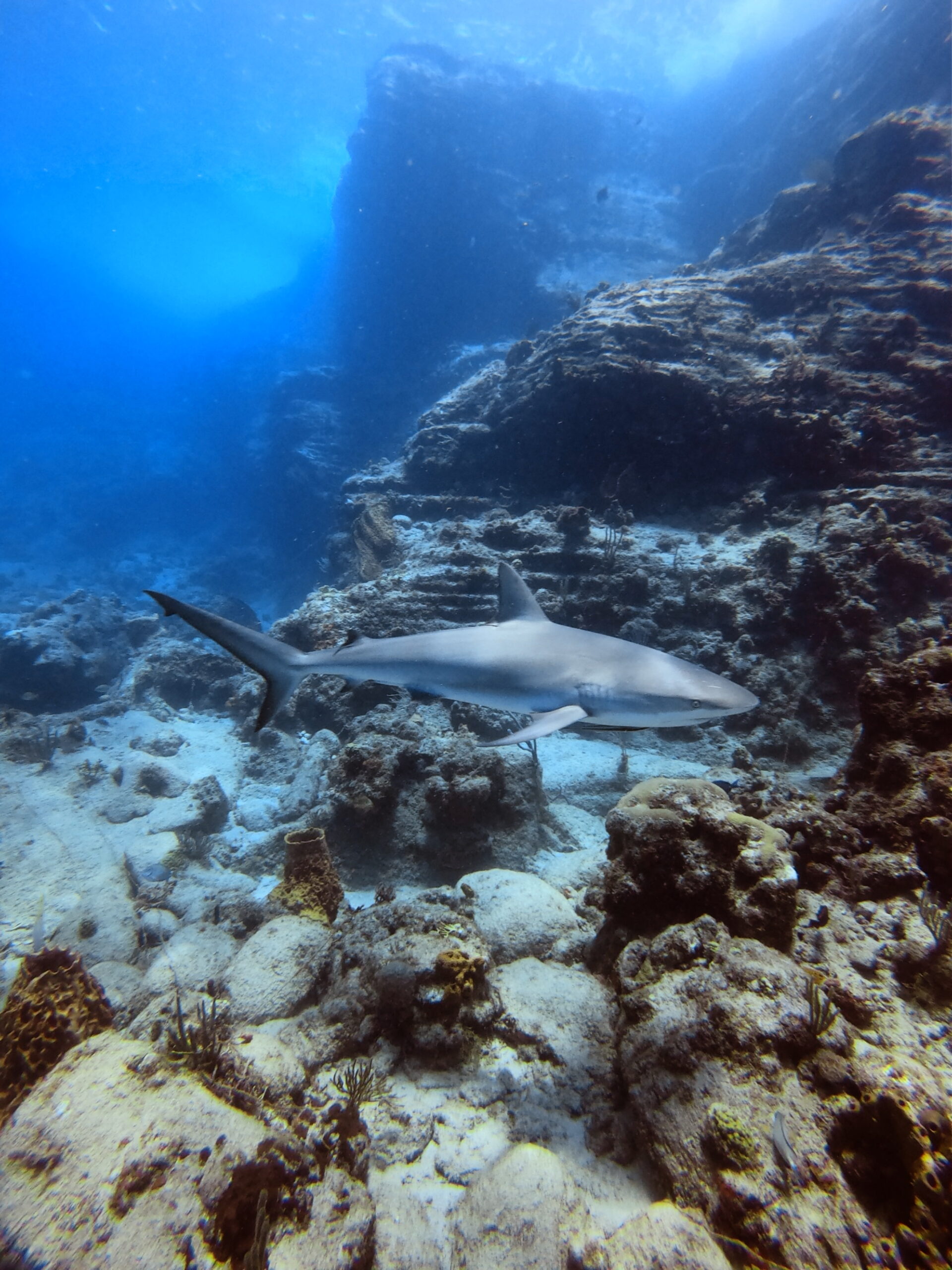 underwater view of a large rock