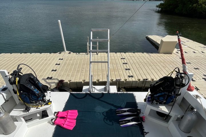 divecarib boat on the dock