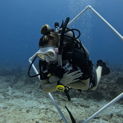 scuba diver practicing buoyancy techniques