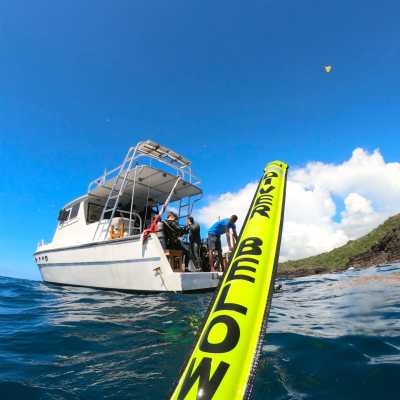 SMB and divecarib boat