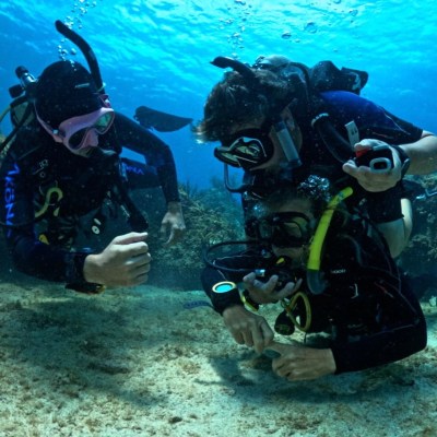 scuba divers practicing rescue techniques