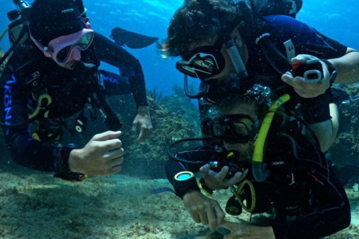 scuba divers practicing rescue techniques