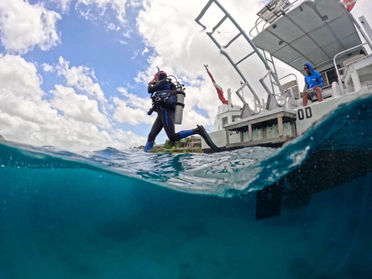 a giant stride entry