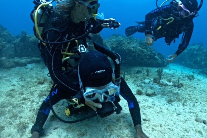 scuba divers practicing rescue techniques